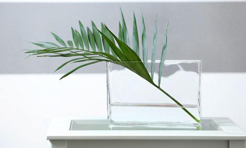 Chiropractic Burnsville MN Services Chiropractic Burnsville MN Services